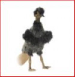 ÉMEU MARIONNETTE 33CM